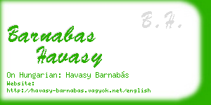 barnabas havasy business card
